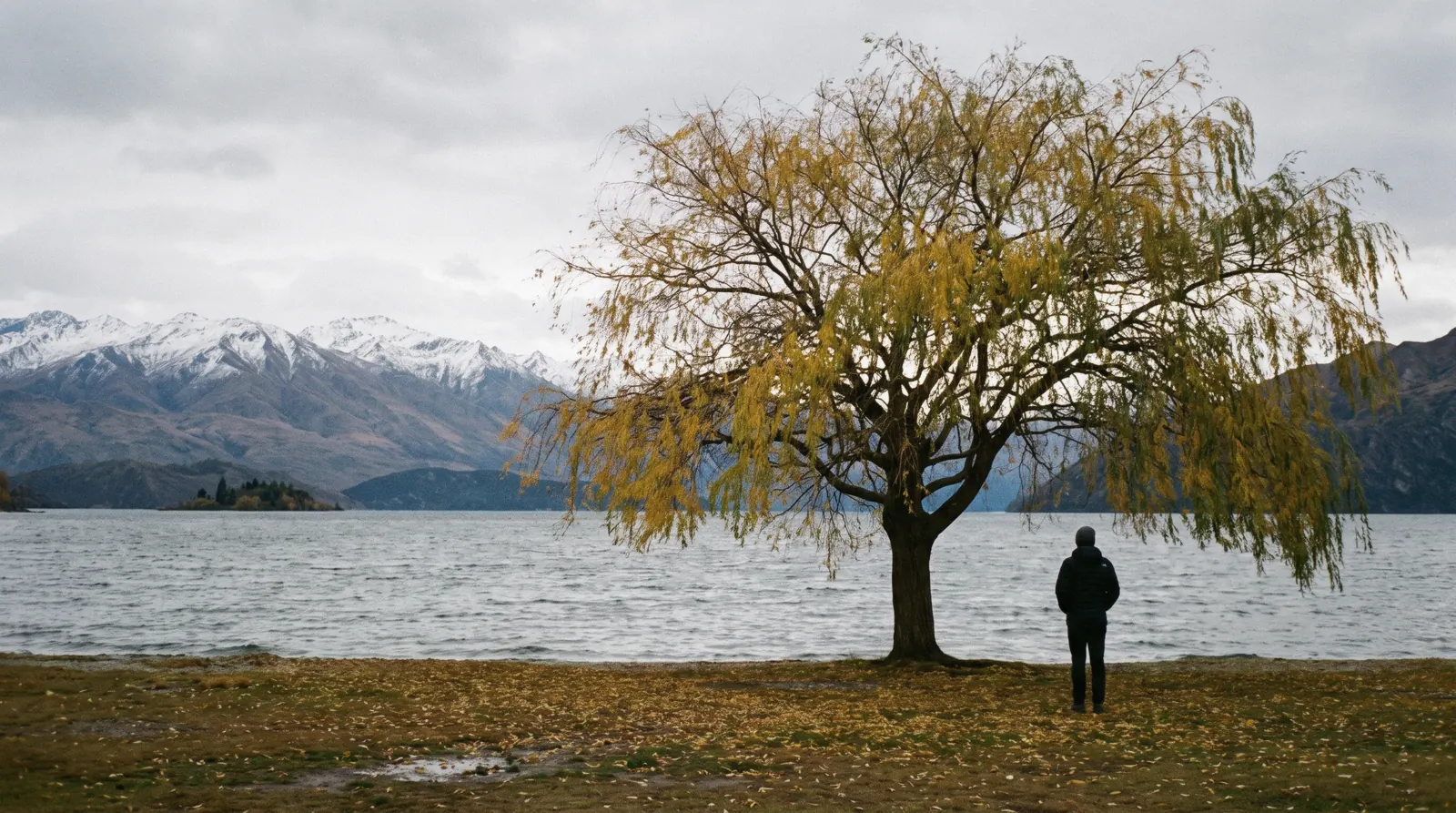 Autumn willows on Queenstown Bay with early snow on the Remarkables, the view that decides the best time to visit Queenstown, New Zealand